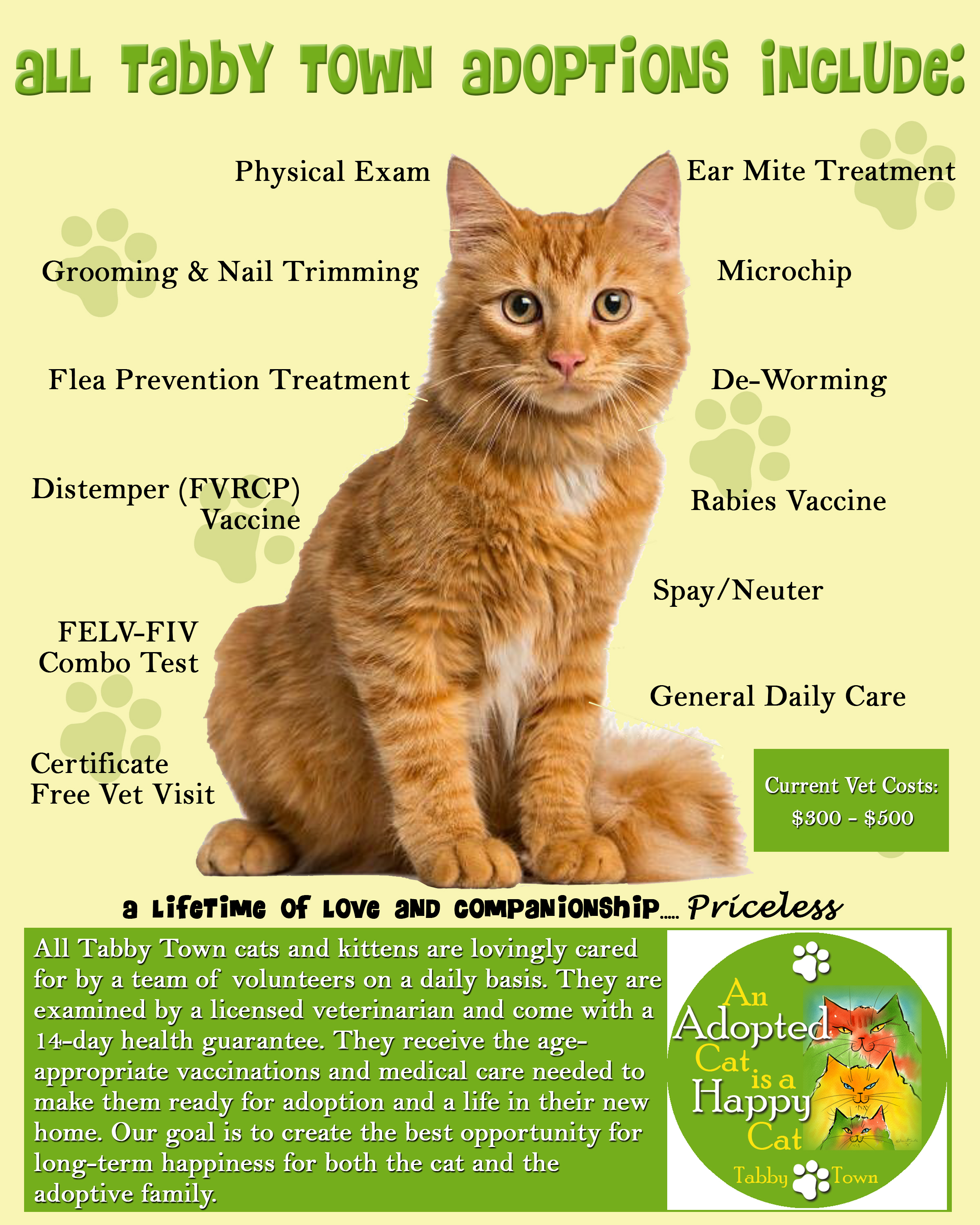 Tabby Town  Adoption Fees