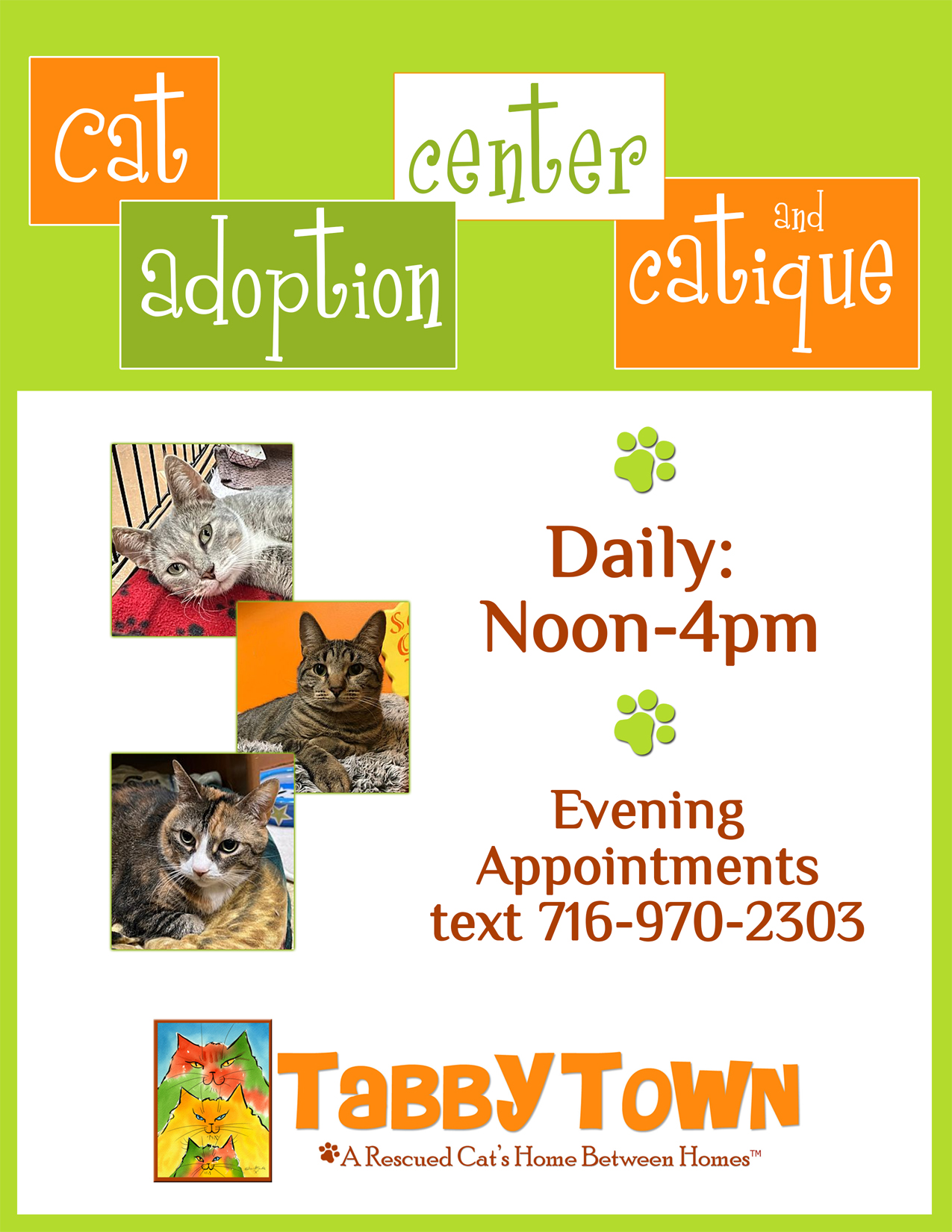 Cat Adoption Locations