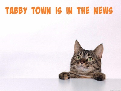 Tabby Town  Adoption Fees